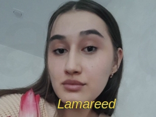 Lamareed