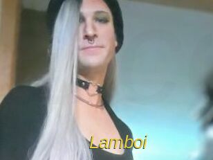 Lamboi