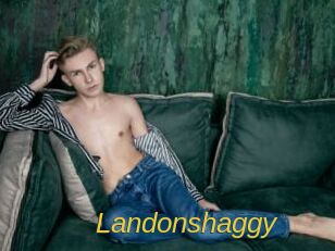 Landonshaggy