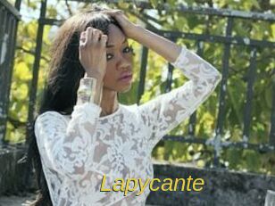 Lapycante