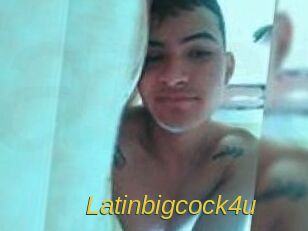 latinbigcock4u Archive DVD ORG