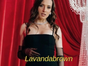 lavandabrown Archive DVD ORG