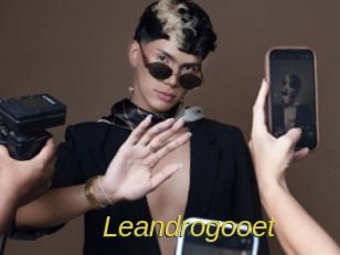 Leandrogooet