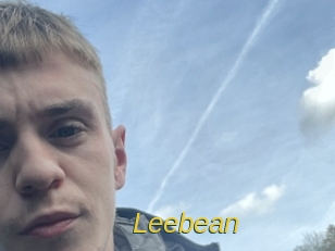 leebean Archive DVD ORG