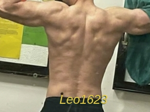 leo1623 Archive DVD ORG