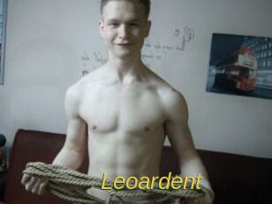 leoardent Archive DVD ORG