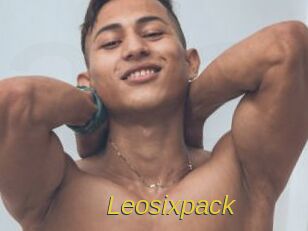 Leosixpack