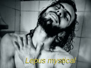 Lepus_mystical