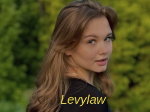 Levylaw