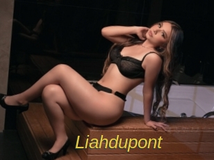 Liahdupont