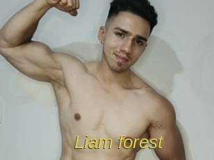 Liam_forest