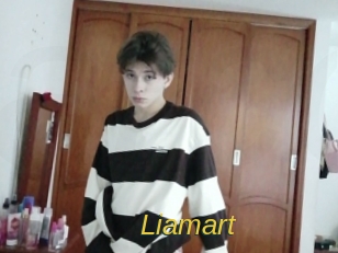 Liamart