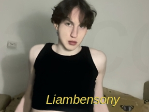 liambensony Archive DVD ORG