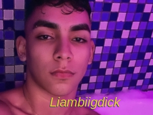liambiigdick Archive DVD ORG