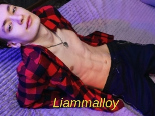liammalloy Archive DVD ORG