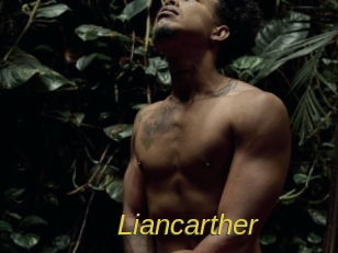 liancarther Archive DVD ORG