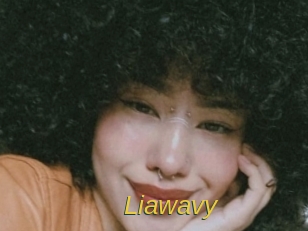 liawavy Archive DVD ORG