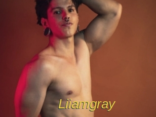 liiamgray Archive DVD ORG