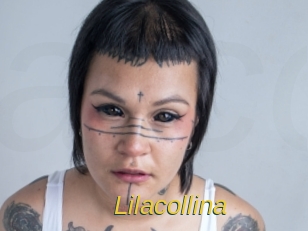 Lilacollina