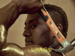 Lildollar