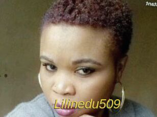 Lilinedu509