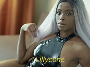 lillycone Archive DVD ORG