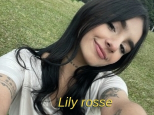 Lily_rosse