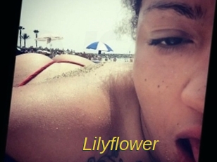 Lilyflower