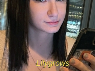 lilygrows Archive DVD ORG
