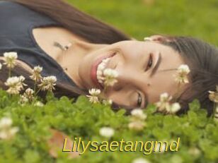 Lilysaetangmd
