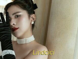 lindcici Archive DVD ORG