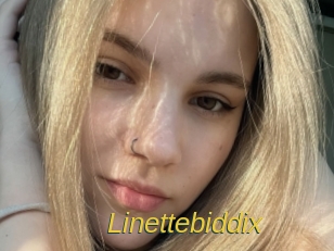 linettebiddix Archive DVD ORG