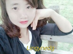 Lingynedg