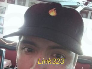 Link323