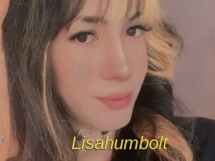 Lisahumbolt