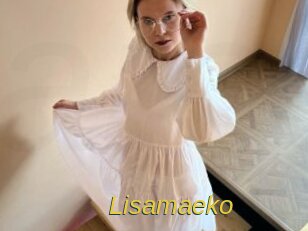 Lisamaeko