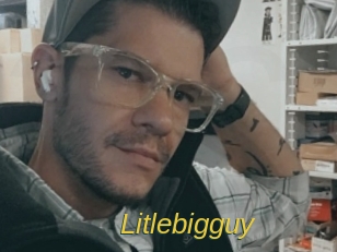 Litlebigguy