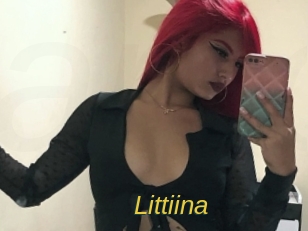 littiina Archive DVD ORG