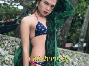 Littlebunnyts
