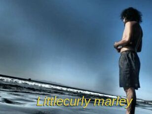 Littlecurly_marley