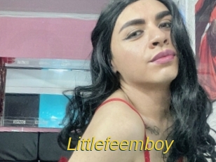 littlefeemboy Archive DVD ORG