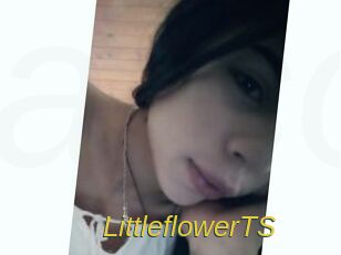 LittleflowerTS
