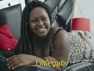 littlegaby Archive DVD ORG