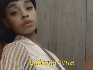 littlemamma Archive DVD ORG