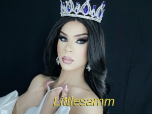 Littlesamm