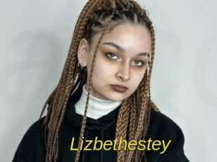 lizbethestey Archive DVD ORG