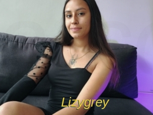 lizygrey Archive DVD ORG