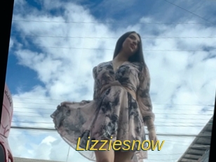 Lizziesnow