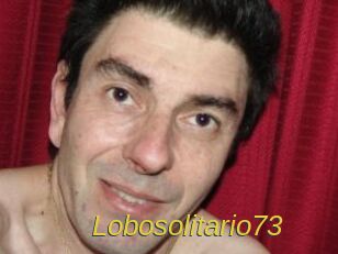 Lobosolitario73
