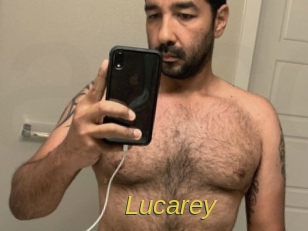 lucarey Archive DVD ORG